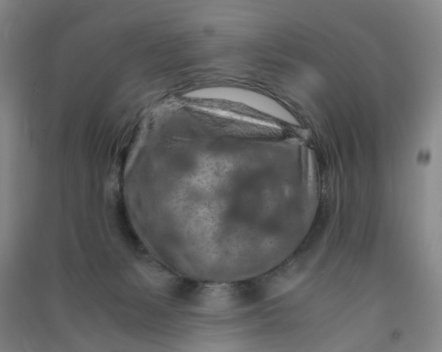 X0000090900127200708201726