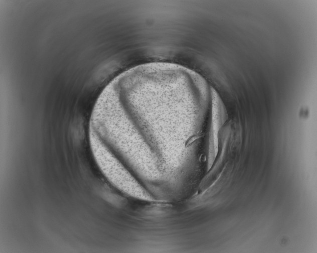 X0000090900128200708201726