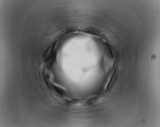 X0000090900129200708201726