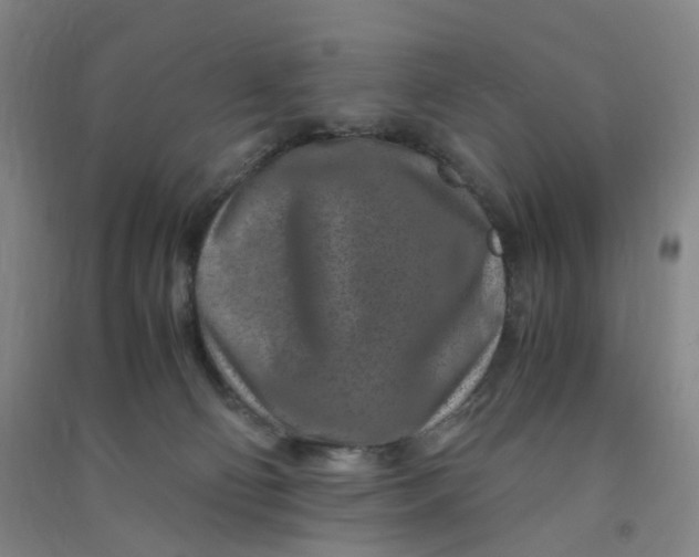 X0000090900130200708201726