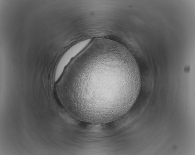 X0000090900131200708201726