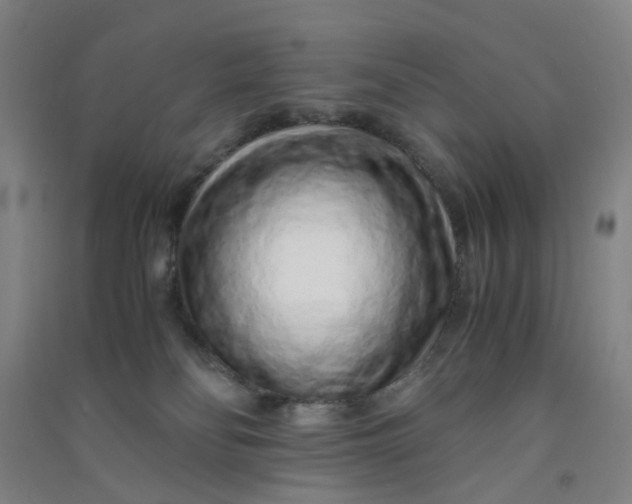 X0000090900134200708201726