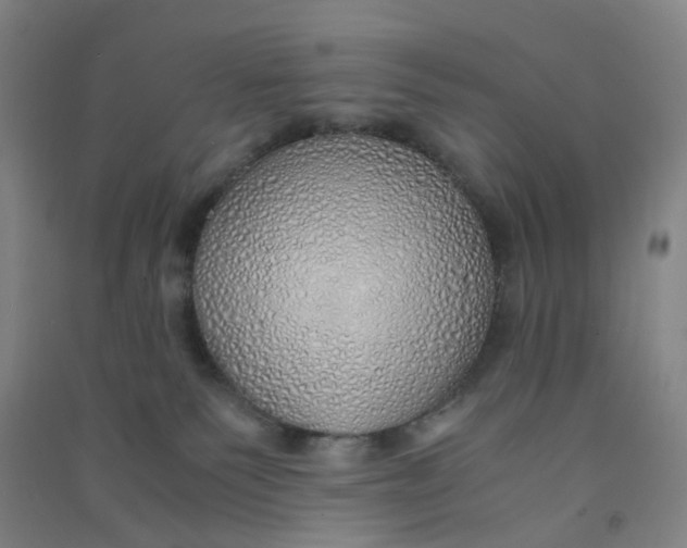 X0000090900135200708201726