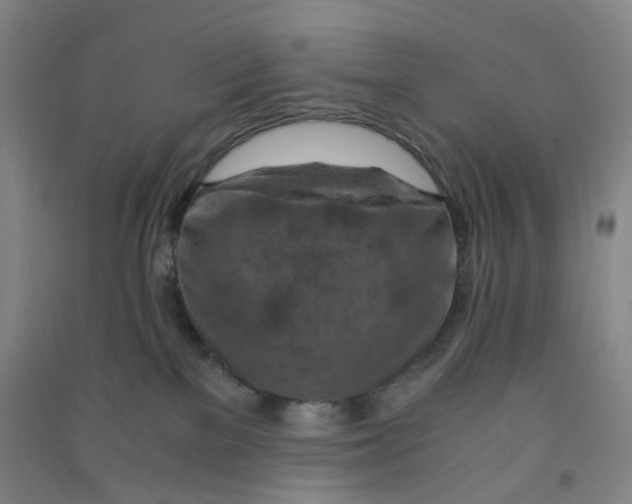 X0000090900137200708201726