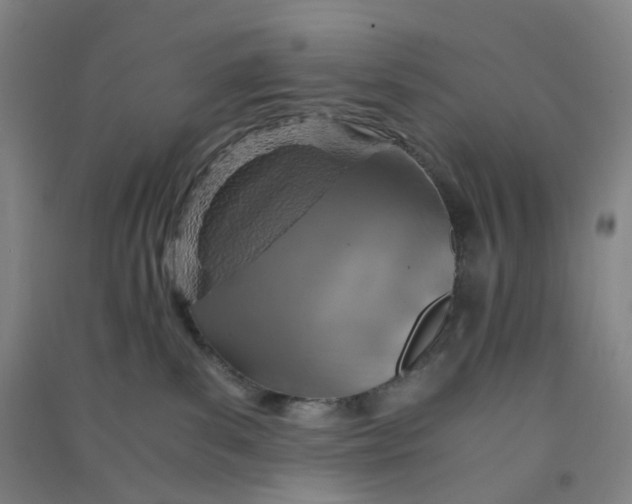 X0000090900139200708201726