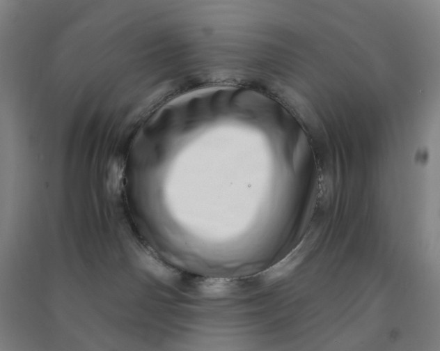 X0000090900142200708201726