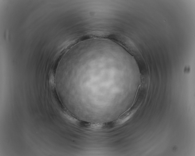 X0000090900143200708201726