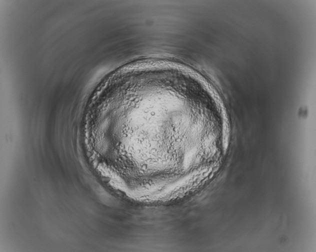 X0000090900145200708201726