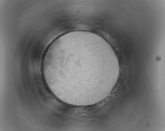 X0000090900146200708201726