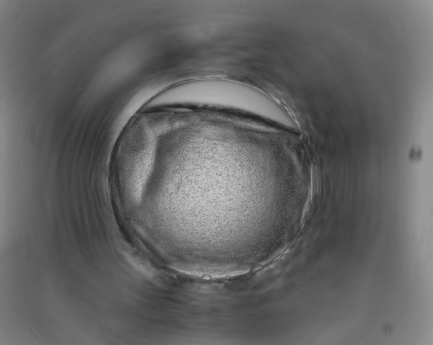 X0000090900147200708201726