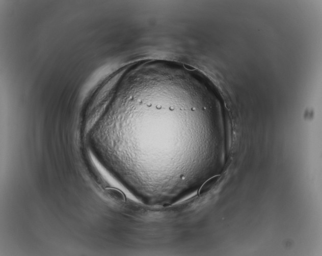 X0000090900149200708201726