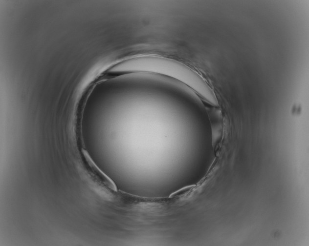 X0000090900150200708201726