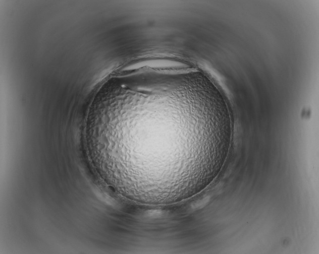 X0000090900153200708201726