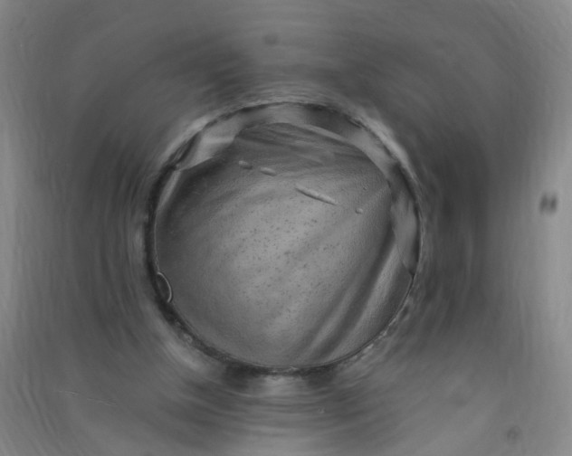 X0000090900154200708201726