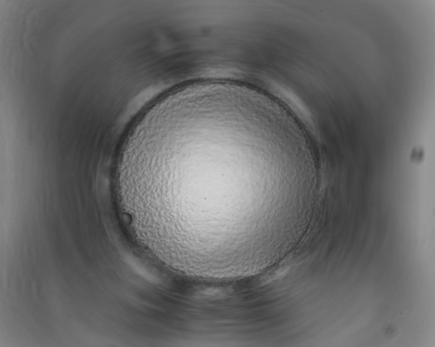 X0000090900155200708201726