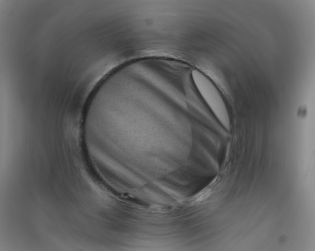 X0000090900156200708201726