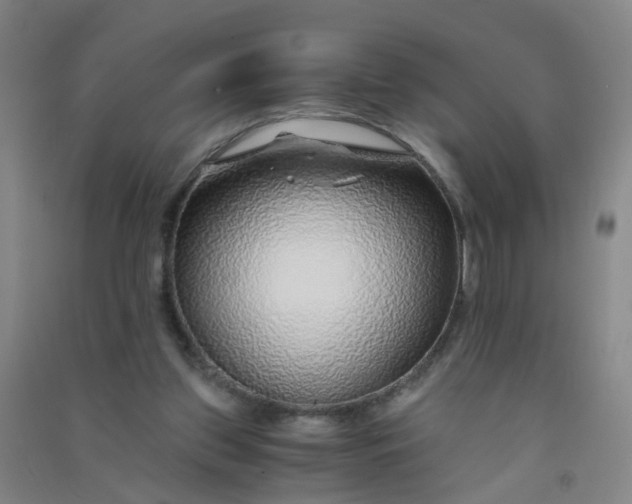 X0000090900157200708201726