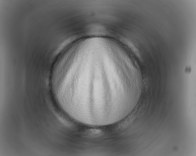 X0000090900159200708201726