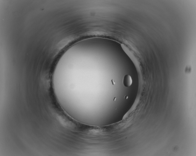 X0000090900160200708201726