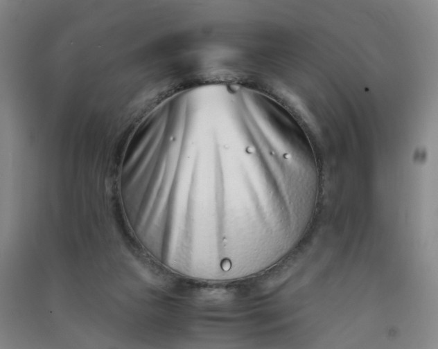 X0000090900161200708201726