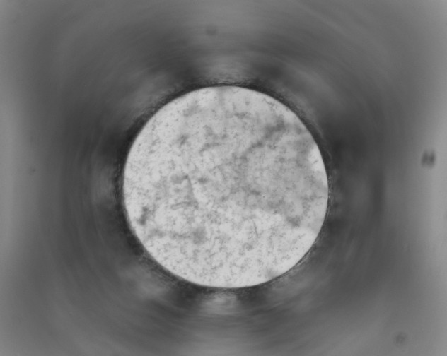 X0000090900162200708201726