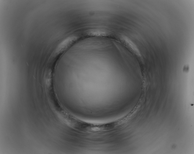 X0000090900163200708201726