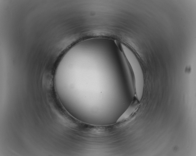 X0000090900164200708201726