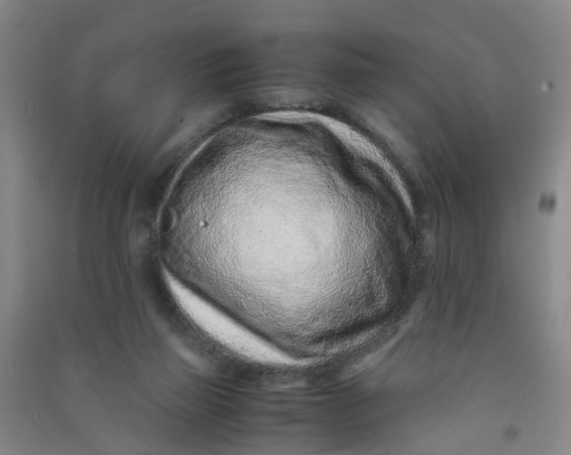 X0000090900165200708201726