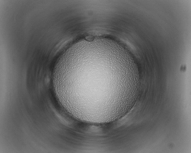 X0000090900166200708201726