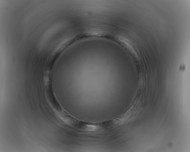 X0000090900167200708201726