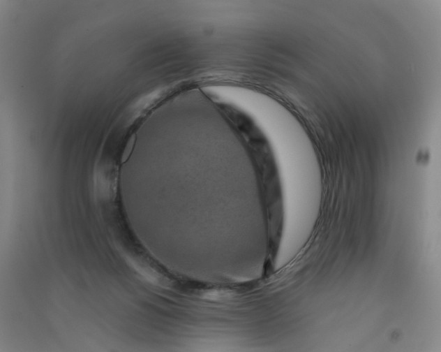 X0000090900168200708201726