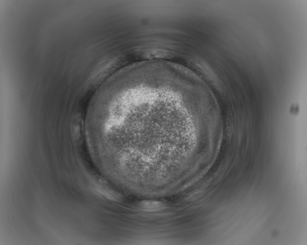 X0000090900169200708201726