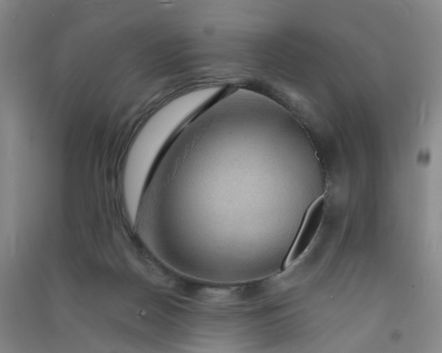 X0000090900170200708201726