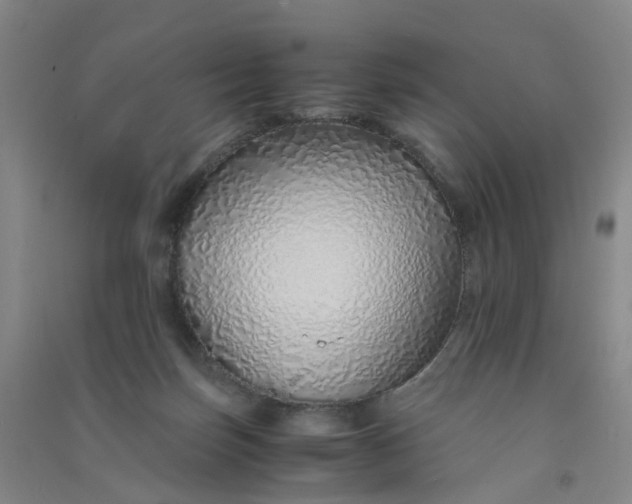 X0000090900171200708201726