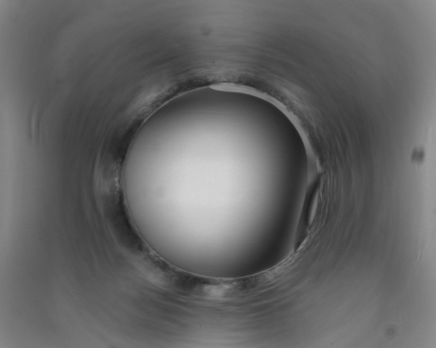 X0000090900172200708201726