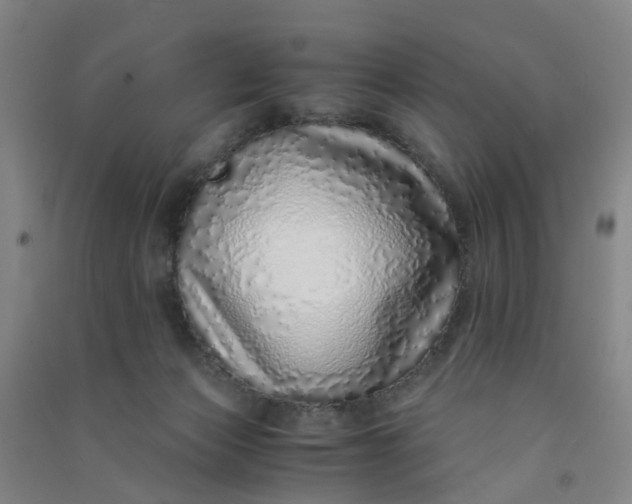 X0000090900173200708201726