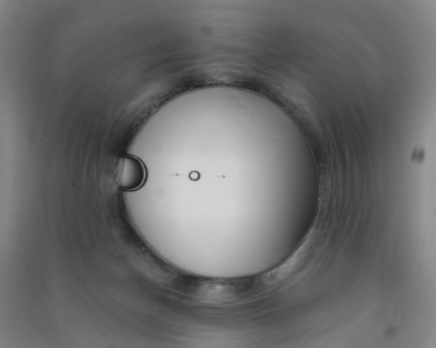 X0000090900174200708201726