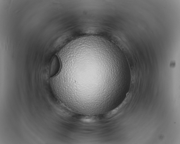 X0000090900175200708201726