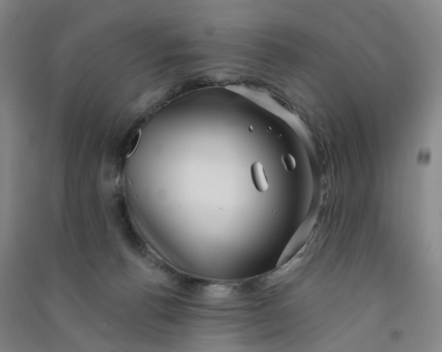 X0000090900176200708201726