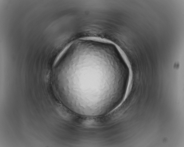 X0000090900177200708201726