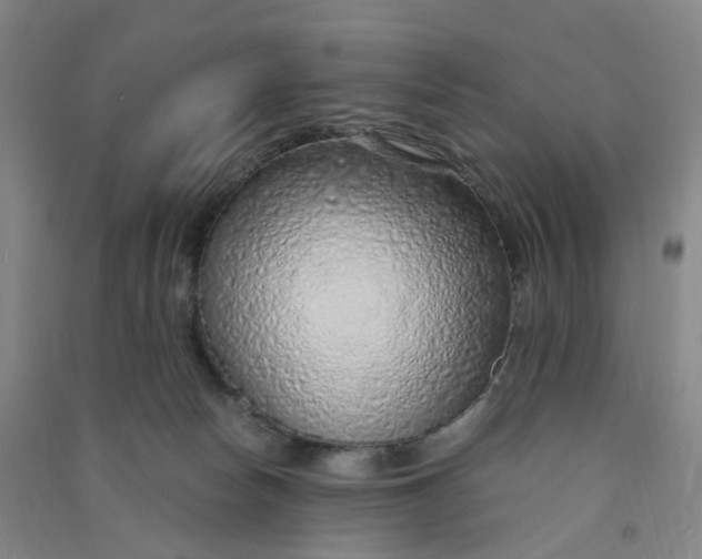 X0000090900178200708201726