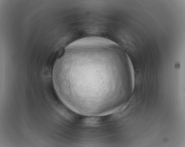 X0000090900179200708201726