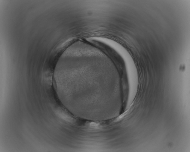 X0000090900180200708201726