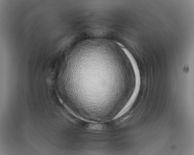 X0000090900181200708201726