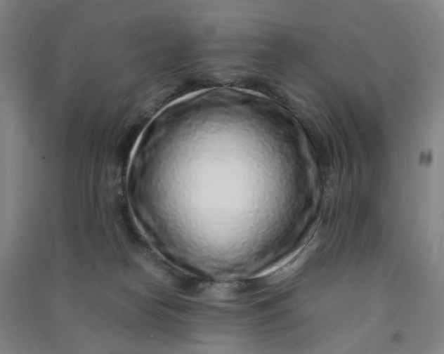 X0000090900182200708201726