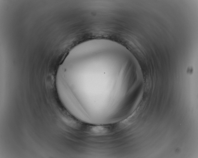 X0000090900183200708201726