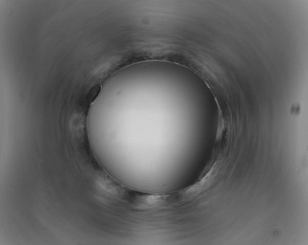 X0000090900184200708201726