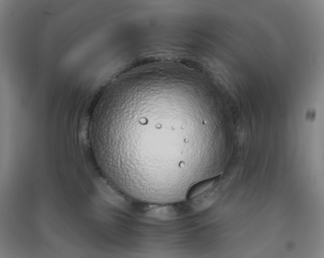 X0000090900185200708201726