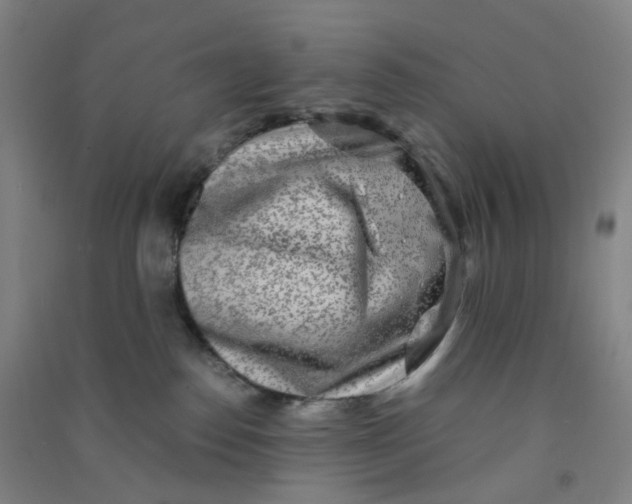 X0000090900186200708201726