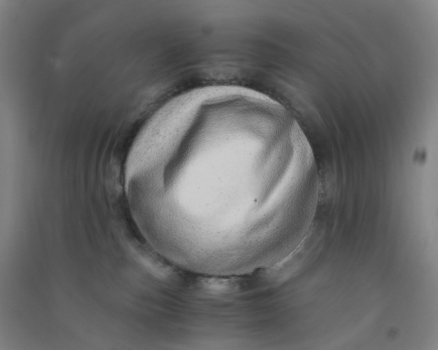 X0000090900187200708201726